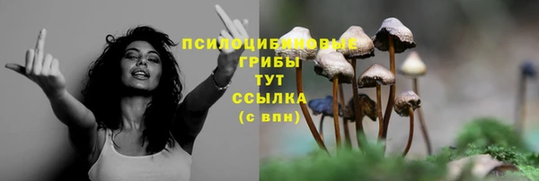 марки lsd Волосово
