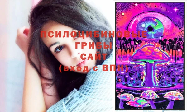 первитин Володарск
