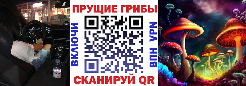 Купить закладки  Прокопьевск  Галлюциногенные грибы Psilocybine cubensis 