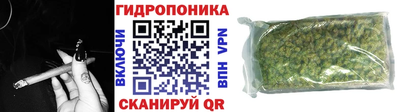 Бошки Шишки гибрид  Купить закладки  Прокопьевск 